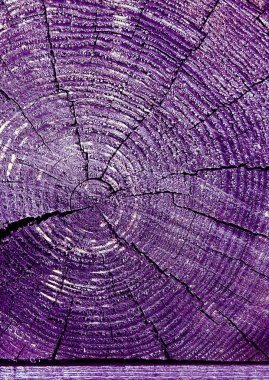 Parlak bir doku ile eski bir ahşap duvar arka plan. ahşap tahta doku duvar seçili rengi boya ultraviyole ile arka plan