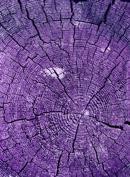 Parlak bir doku ile eski bir ahşap duvar arka plan. ahşap tahta doku duvar seçili rengi boya ultraviyole ile arka plan