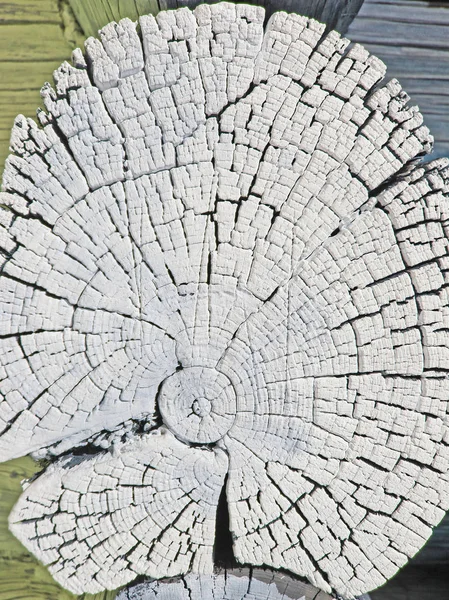 Textura Madera Vieja Con Patrones Naturales Corte Transversal Del Viejo —  Fotos de Stock