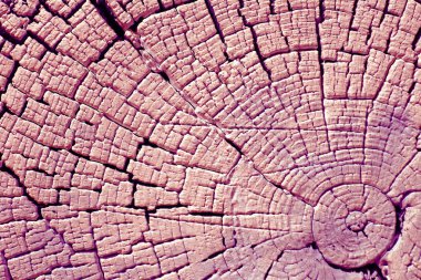 Eski ahşap doku doğal desenleri ile. Eski ağaç kesiti. koyu renkli ahşap dokusu. Doğal arka plan. boş şablon. Parlak bir doku ile eski bir ahşap duvar arka plan. suluboya pastel boya