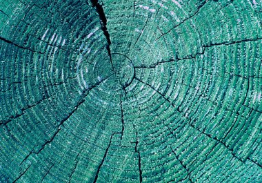 Parlak bir doku ile eski bir ahşap duvar arka plan. ahşap tahta doku duvar seçili rengi boya ultraviyole ile arka plan