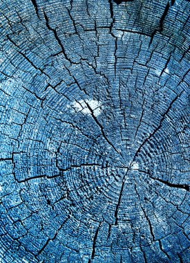 Parlak bir doku ile eski bir ahşap duvar arka plan. ahşap tahta doku duvar seçili rengi boya ultraviyole ile arka plan