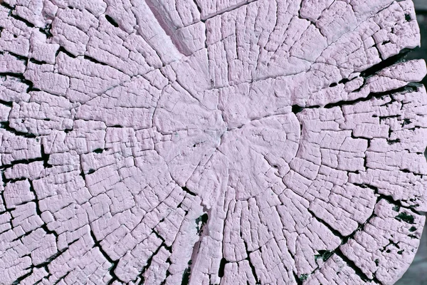 Textura Madera Vieja Con Patrones Naturales Corte Transversal Del Viejo —  Fotos de Stock