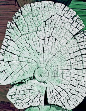 Eski ahşap doku doğal desenleri ile. Eski ağaç kesiti. koyu renkli ahşap dokusu. Doğal arka plan. boş şablon. Parlak bir doku ile eski bir ahşap duvar arka plan. suluboya pastel boya