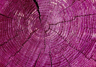 Parlak bir doku ile eski bir ahşap duvar arka plan. ahşap tahta doku duvar seçili rengi boya ultraviyole ile arka plan