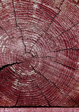 Parlak bir doku ile eski bir ahşap duvar arka plan. ahşap tahta doku duvar seçili rengi boya ultraviyole ile arka plan