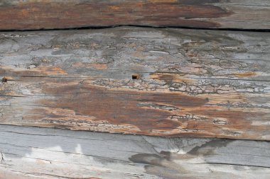 Eski ahşap doku doğal desenleri ile. Ağaç arka plan içinde. Eski eski ve yıpranmış gri ahşap duvar plakalar arka plan doku ve uzun pozlama için öğeleri açık havada tarafından işaretlenmiş.