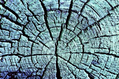 Parlak bir doku ile eski bir ahşap duvar arka plan. ahşap tahta doku duvar seçili rengi boya ultraviyole ile arka plan