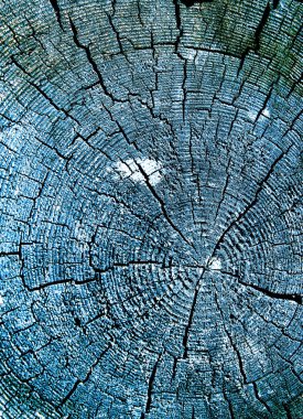 Parlak bir doku ile eski bir ahşap duvar arka plan. ahşap tahta doku duvar seçili rengi boya ultraviyole ile arka plan