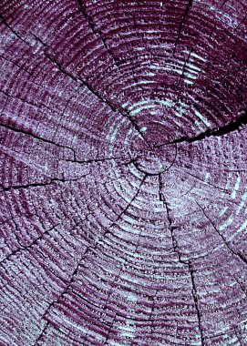 Parlak bir doku ile eski bir ahşap duvar arka plan. ahşap tahta doku duvar seçili rengi boya ultraviyole ile arka plan