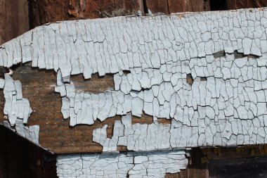 Eski ahşap doku peeling boya, kırık boya, vintage ahşap arka plan, grunge tahta ile eski Mavi Pansiyon ile. Eski ahşap arka plan ağaç eski boya artıkları parçaları kalıntıları ile. Doku