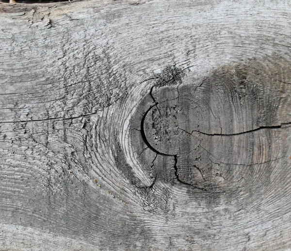 A régi fa textúra a természetes minták. A régi fa keresztmetszete — Stock Fotó