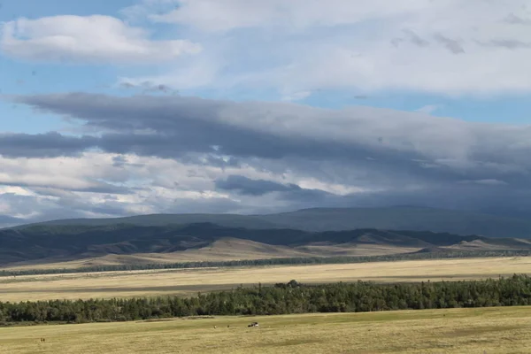 Steppe large avec herbe jaune sous un ciel bleu avec des nuages blancs Sayan montagnes Sibérie Russie — Photo