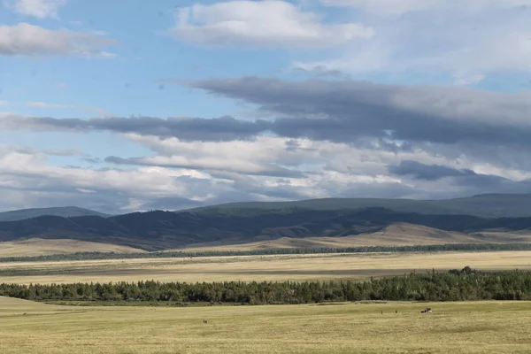 Estepa larga com grama amarela sob um céu azul com nuvens brancas Montanhas Sayan Sibéria Rússia — Fotografia de Stock