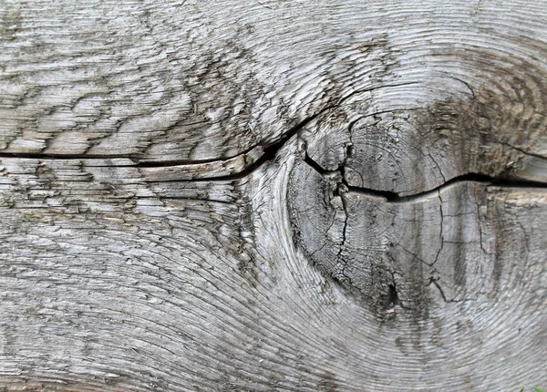 古い木製の自然なパターンを持つテクスチャー。古い木の断面 — ストック写真