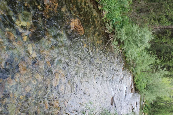 El río de piedra de montaña en el bosque . — Foto de Stock