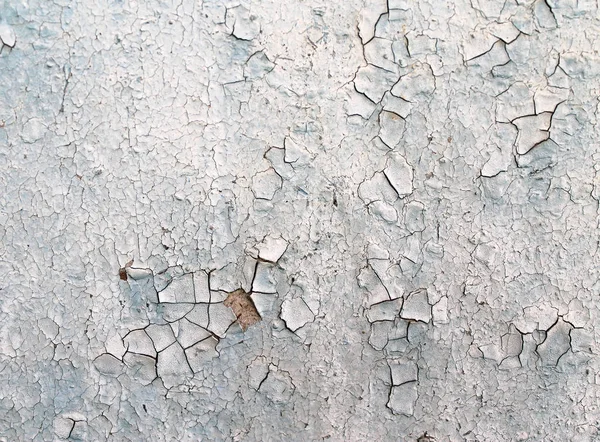 Eski ahşap arka plan ağaç eski boya artıkları parçaları kalıntıları ile. Doku eski ağaç bir kurulu ile boya, antika arka plan boya soyulmuştu. eski mavi kurulu ile kırık boya, vintage, woo