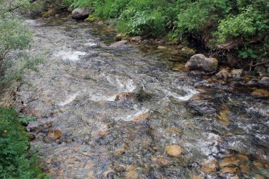 Dağ taş nehir orman.