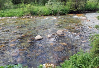 Dağ taş nehir orman.