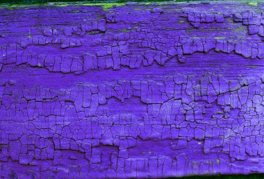 Ahşap üzerinde eski boya kalıntıları olan eski ahşap bir arka plan. Eski bir ağacın dokusu, eski bir ahşap arka plan soyma boyası. Kırık boyalı eski mavi tahta