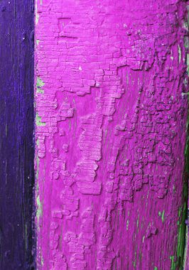 Ahşap üzerinde eski boya kalıntıları olan eski ahşap bir arka plan. Eski bir ağacın dokusu, eski bir ahşap arka plan soyma boyası. Kırık boyalı eski mavi tahta