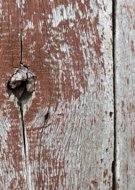 Ahşap üzerinde eski boya kalıntıları olan eski ahşap bir arka plan. Eski bir ağacın dokusu, eski bir ahşap arka plan soyma boyası. Kırık boyalı eski mavi tahta