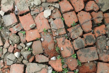 Kırık kırmızı tuğladan tuğla döşeme ve yeşil çimenler