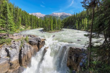 Jasper National Park, Canada. Sunwapta falls with small island in the middle of the river. clipart