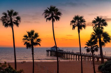 Gün batımı, palmiye ağaçları ve iskelede Manhattan Beach California, Los Angeles, California beach. İşlenen vintage.