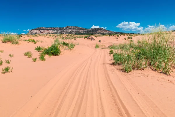 Road Sand Dunes Desert Coral Pink Sand Dunes State Park — Stock Photo, Image