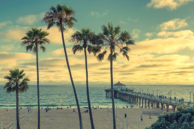 Gün batımı, palmiye ağaçları ve iskelede Manhattan Beach California, Los Angeles, California beach. İşlenen vintage.