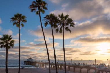 Gün batımı, palmiye ağaçları ve iskelede Manhattan Beach California, Los Angeles, California beach. İşlenen vintage.