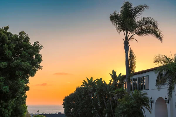 California Beach Sunset Palm Trees Pier Manhattan Beach California Los — Stock Photo, Image