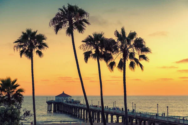 California Beach Sunset Palm Trees Pier Manhattan Beach California Los — Stock Photo, Image