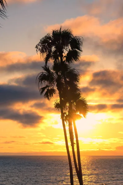 Beautiful Beach Palms Sunset Jamaica Paradise Island — Stock Photo, Image