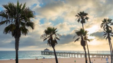 Manhattan beach ve günbatımı, Los Angeles, California iskelede palmiye ağaçlarının.