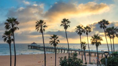 Manhattan beach ve günbatımı, Los Angeles, California iskelede palmiye ağaçlarının.