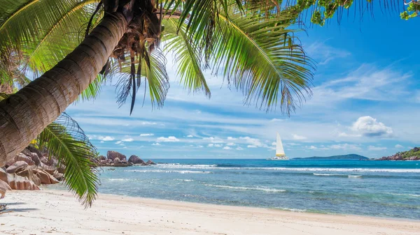 Sandy Beach Palm Sailing Boat Turquoise Sea Paradise Island Summer — Stock Photo, Image
