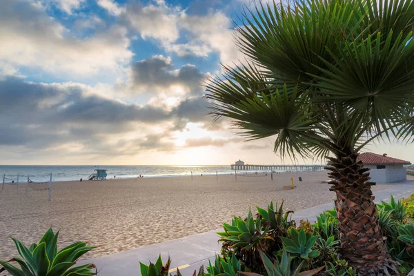 Palm Trees Manhattan Beach Pier Sunset Los Angeles California — Stock Photo, Image