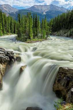 Güzel Sunwapta falls, Kanada.