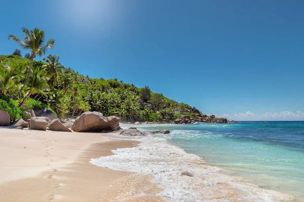 Paradijseiland Zandstrand Met Palmbomen Een Turquoise Zee Zomer Vakantie Reizen — Stockfoto