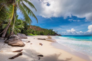 Sandy beach palm ve turkuaz deniz adada tropikal Mahe, Seyşel Adaları.