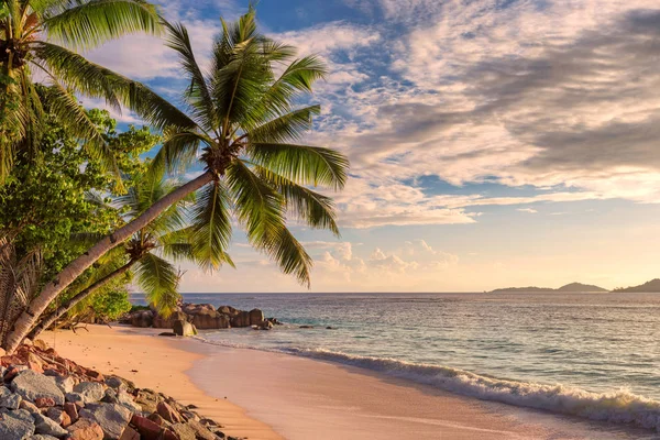 Palmy Tropické Pláži Při Západu Slunce Letní Dovolená Cestování Koncept — Stock fotografie