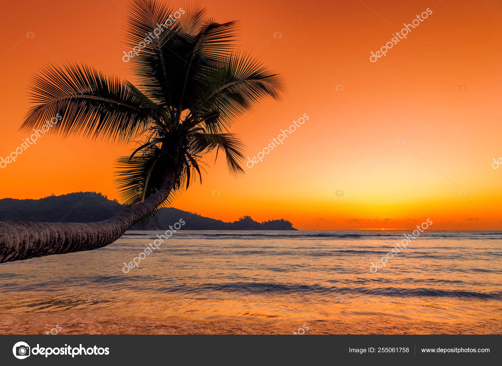 Hermosa Puesta Sol Rosa Sobre Mar Con Palma Coco Playa — Foto de stock  #255061758 © luckyphotographer, image size:1600x1167
