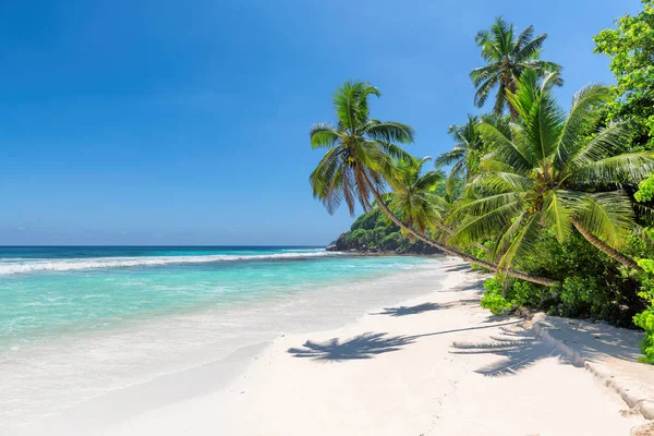 Ilha Exótica Praia Areia Com Palma Coco Mar Azul Turquesa — Fotografia de Stock