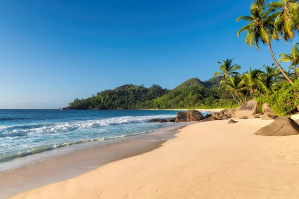 Exotic Island Sandy Beach Coco Palm Turquoise Sea Caribbean Island — Stock Photo, Image