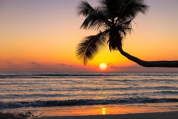 Coucher Soleil Sur Plage Californie Manhattan Beach Los Angeles Usa — Photo