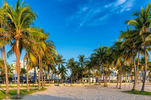 Miami Beach Matin Floride Hôtels Restaurants Coucher Soleil Sur Ocean — Photo