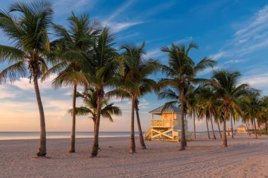 Gün doğumunda Coco Palmiye ağaçları Miami Beach, Florida 'da cankurtaran kulübesinde.