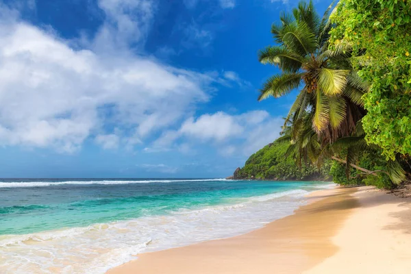 Paradiesischer Strand Mit Weißem Sand Und Kokospalmen Sommerurlaub Und Tropenstrandkonzept — Stockfoto